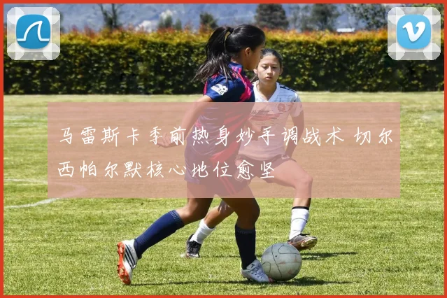 马雷斯卡季前热身妙手调战术 切尔西帕尔默核心地位愈坚