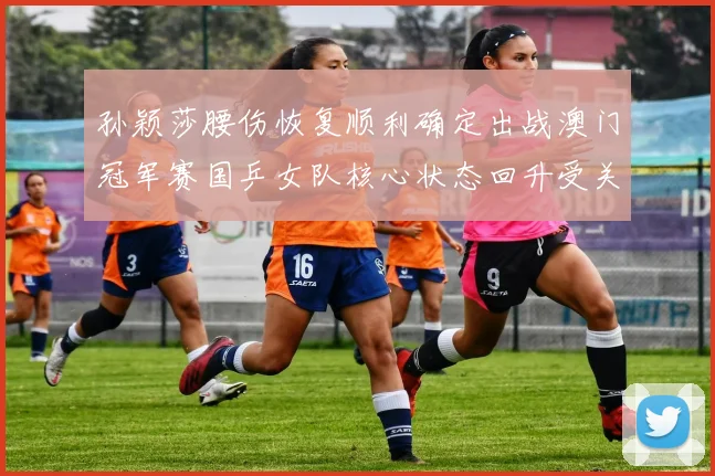 孙颖莎腰伤恢复顺利确定出战澳门冠军赛国乒女队核心状态回升受关注