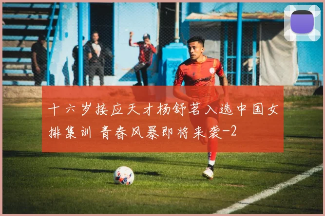 十六岁接应天才杨舒茗入选中国女排集训 青春风暴即将来袭