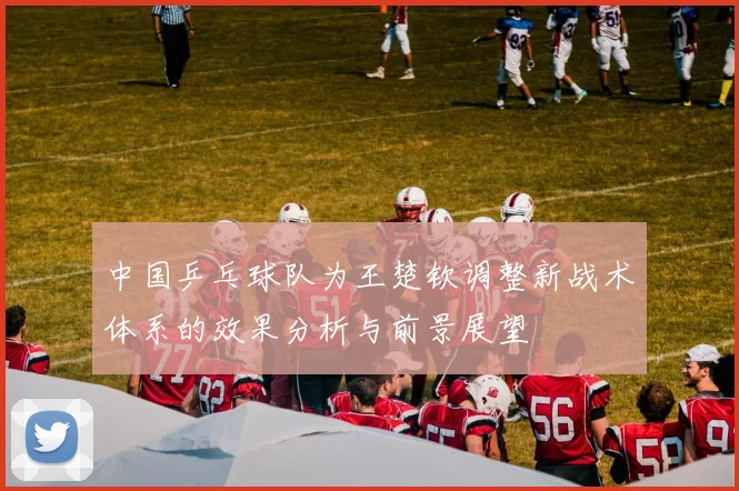 中国乒乓球队为王楚钦调整新战术体系的效果分析与前景展望